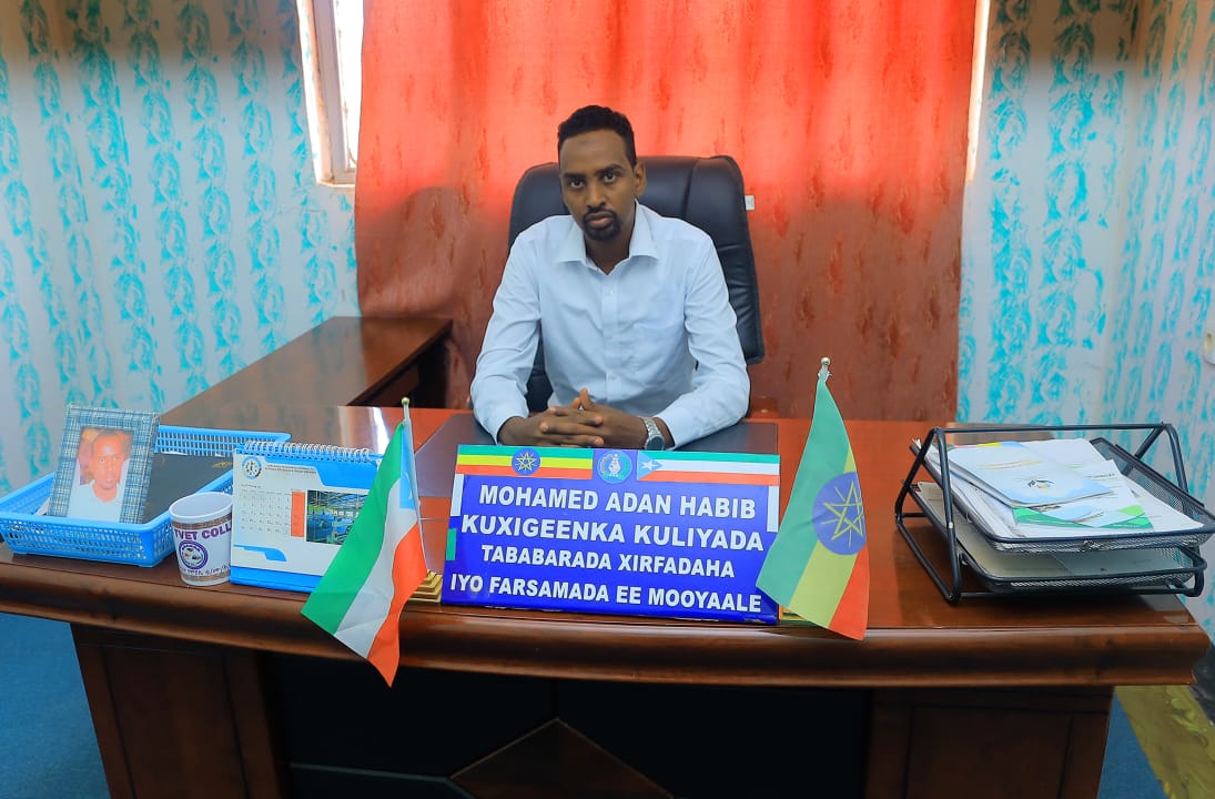 Mr. Mohammed aden